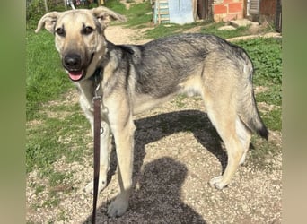 Javi sucht liebevolle Menschen