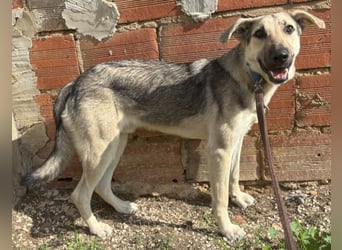 Javi sucht liebevolle Menschen