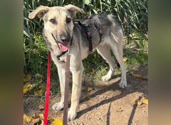 Javi sucht liebevolle Menschen