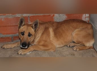 Kari sucht geduldige Menschen