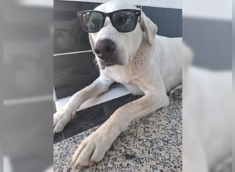 Oliver ist für jeden Schabernack zu haben