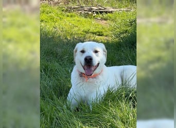 Oliver ist für jeden Schabernack zu haben