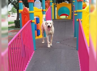 Oliver ist für jeden Schabernack zu haben