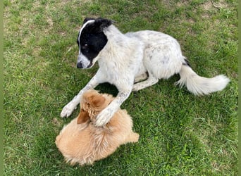 Große Monnie sucht passendes Körbchen
