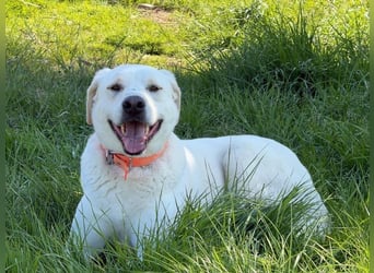 Oliver ist für jeden Schabernack zu haben