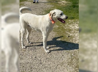 Oliver ist für jeden Schabernack zu haben