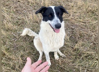 Große Monnie sucht passendes Körbchen