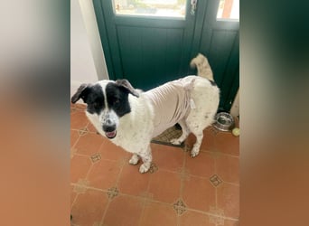 Große Monnie sucht Ihr passendes Körbchen