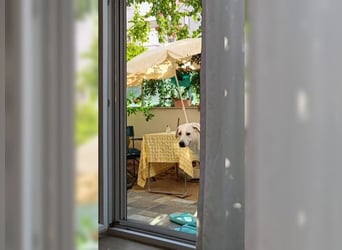 Oliver ist für jeden Schabernack zu haben