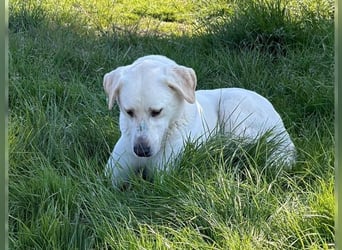 Oliver ist für jeden Schabernack zu haben