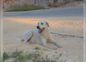 Oliver ist für jeden Schabernack zu haben