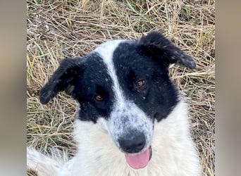 Große Monnie sucht passendes Körbchen