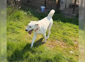 Oliver ist für jeden Schabernack zu haben