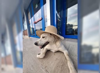 Oliver ist für jeden Schabernack zu haben