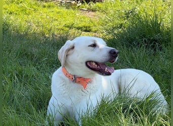 Oliver ist für jeden Schabernack zu haben