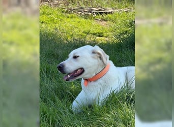 Oliver ist für jeden Schabernack zu haben