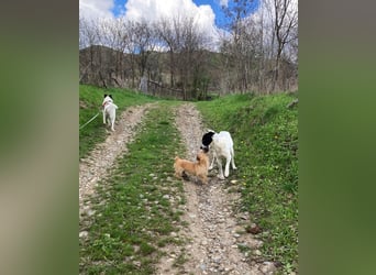 Große Monnie sucht Ihr passendes Körbchen