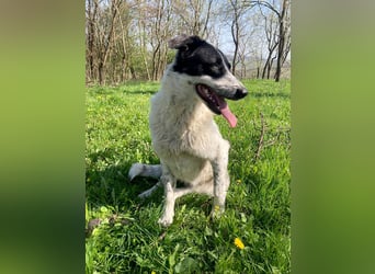 Große Monnie sucht Ihr passendes Körbchen