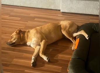KIRA - dringender unverschuldeter Notfall