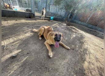 MEG - sie braucht aktive Menschen