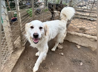 GAETANO - so schön wie ein Coverboy GAETANO - so schön wie ein Coverboy