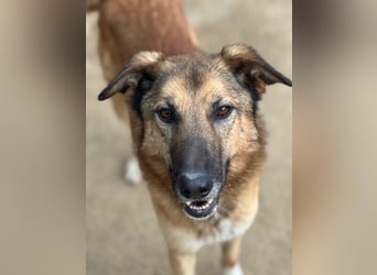 DANNY - sensibel & menschenbezogen