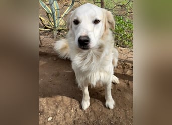 GAETANO - so schön wie ein Coverboy