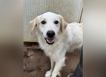 GAETANO - so schön wie ein Coverboy