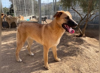 MEG - sie braucht aktive Menschen