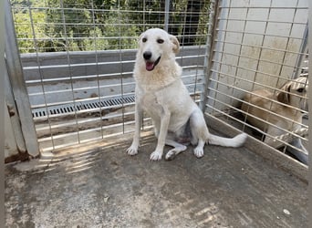 AGOSTINA - bildhübsch und freundlich