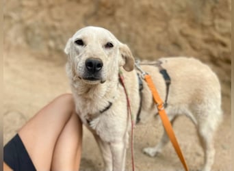 CHICCO - er braucht Menschen um sich