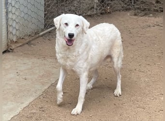 CANNONAU - freundlich & menschenbezogen