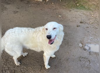 CANNONAU - freundlich & menschenbezogen