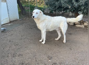 CANNONAU - freundlich & menschenbezogen