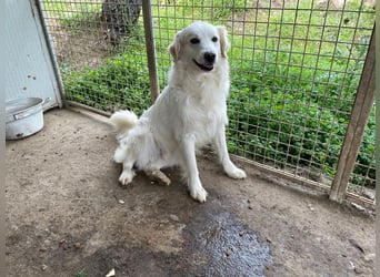 GAETANO - so schön wie ein Coverboy GAETANO - so schön wie ein Coverboy