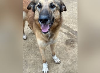 DANNY - sensibel & menschenbezogen