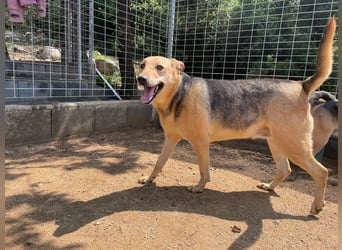 ROSALIE - unser toller Wonneproppen