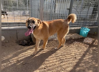 MEG - sie braucht aktive Menschen