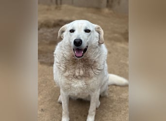 AGOSTINA - bildhübsch und freundlich