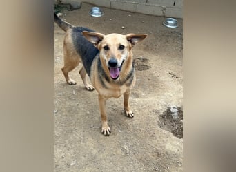 ROSALIE - unser toller Wonneproppen