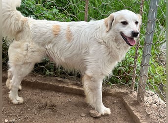 GAETANO - so schön wie ein Coverboy GAETANO - so schön wie ein Coverboy