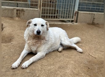 AGOSTINA - bildhübsch und freundlich