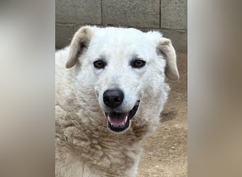 AGOSTINA - bildhübsch und freundlich