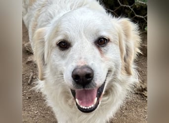 GAETANO - so schön wie ein Coverboy GAETANO - so schön wie ein Coverboy