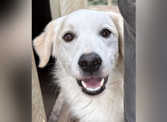 GAETANO - so schön wie ein Coverboy