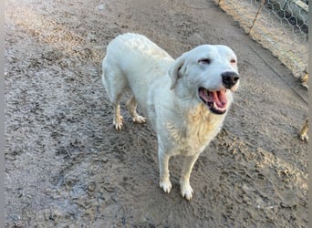 CANNONAU - freundlich & menschenbezogen