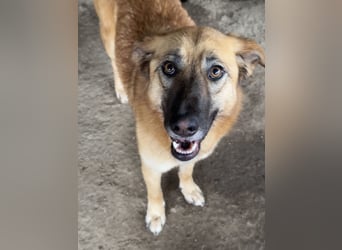 MEG - sie braucht aktive Menschen