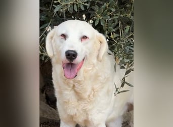 CANNONAU - freundlich & menschenbezogen