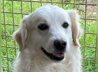 GAETANO - so schön wie ein Coverboy GAETANO - so schön wie ein Coverboy