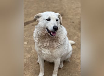 AGOSTINA - bildhübsch und freundlich